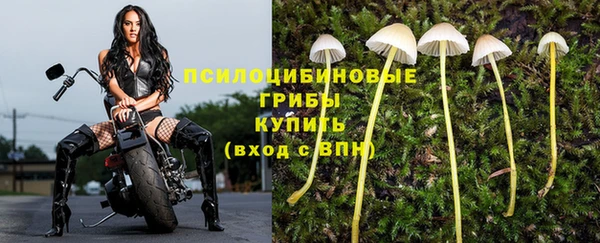 ALPHA PVP Сосновка
